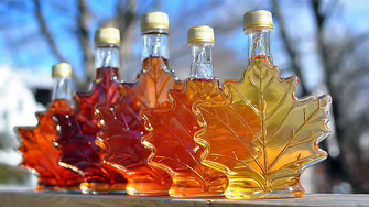 Érable